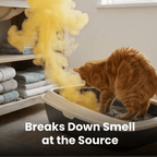 Eliminate Pet Smells In Under 24 Hours & Stop Them From Coming Back